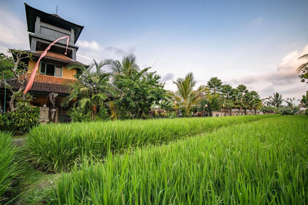 Villa Nini Ubud Extérieur photo